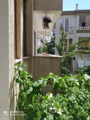 ALTINOLUK YAZLIK